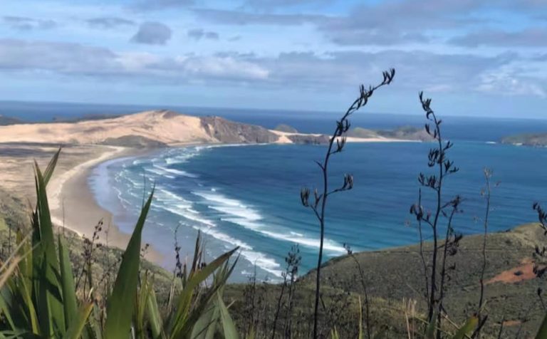 Screen Shot 2025 04 01 at 12.18.23 PM 768x476