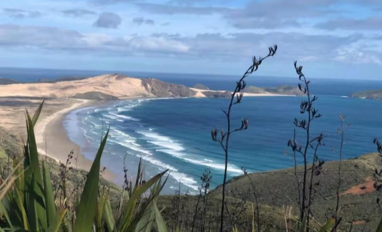 Screen Shot 2025 04 01 at 12.19.53 PM 768x467