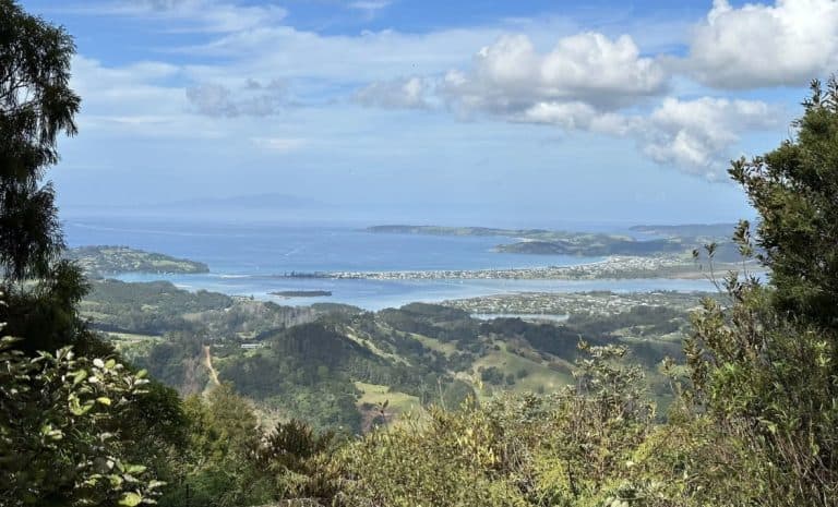 Screen Shot 2026 02 02 at 10.18.06 AM 768x465