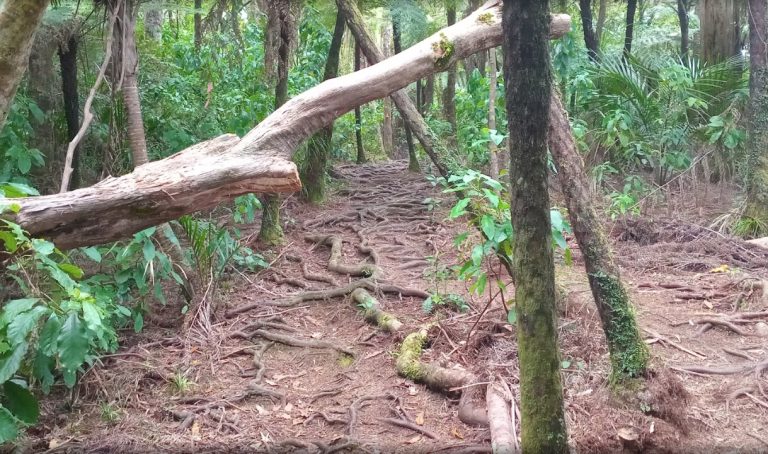 Screen Shot 2026 02 02 at 10.20.06 AM 768x454