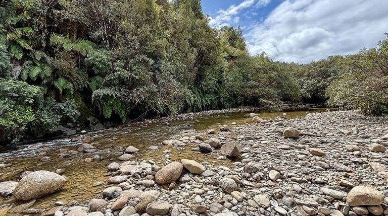 Goldsborough2 768x429