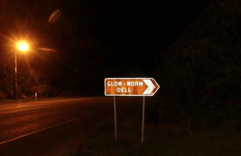 Hokitika glow worm dell1 768x499