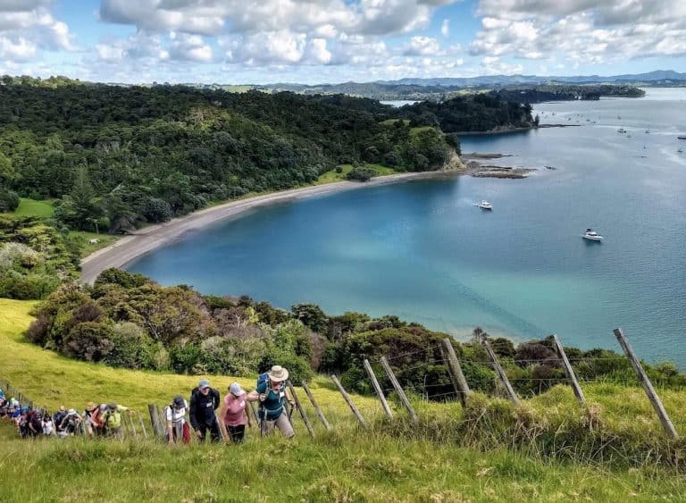 Mahurangi Regional Park 768x563