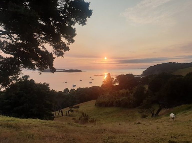 Mahurangi Regional Park Screen Shot 2026 04 21 at 2.15.23 PM 768x572