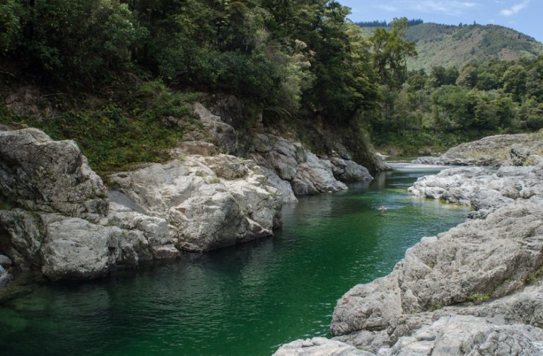 Pelorus Bridge Scenic Reserve  768x503