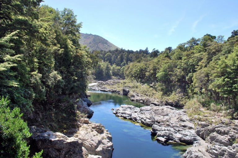 Pelorus Bridge Scenic Reserve 2 768x509