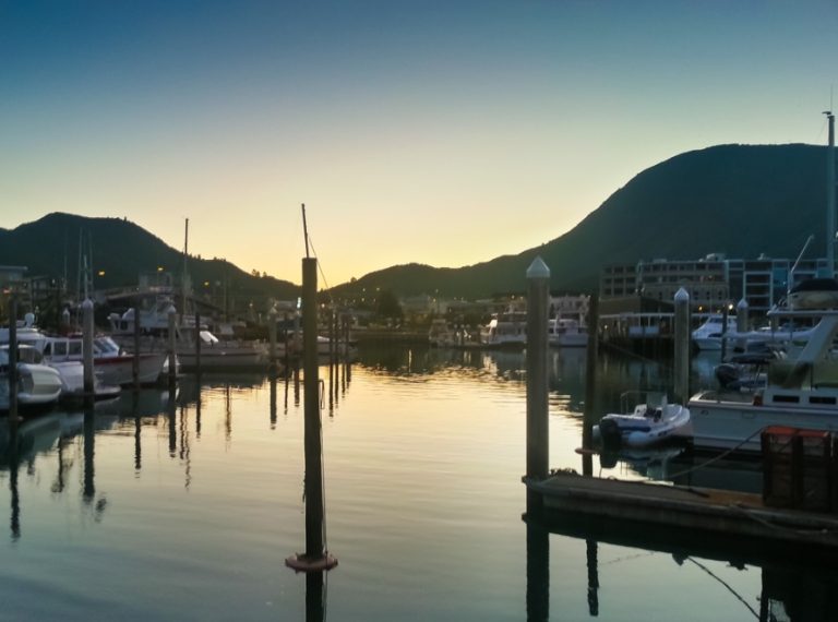 Picton Harbour1 768x570