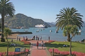 Scenic Picton foreshore with palm trees and boats in the harbor.