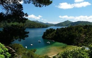 Queen Charlotte Drive with lush green hills and calm waters in New Zealand.