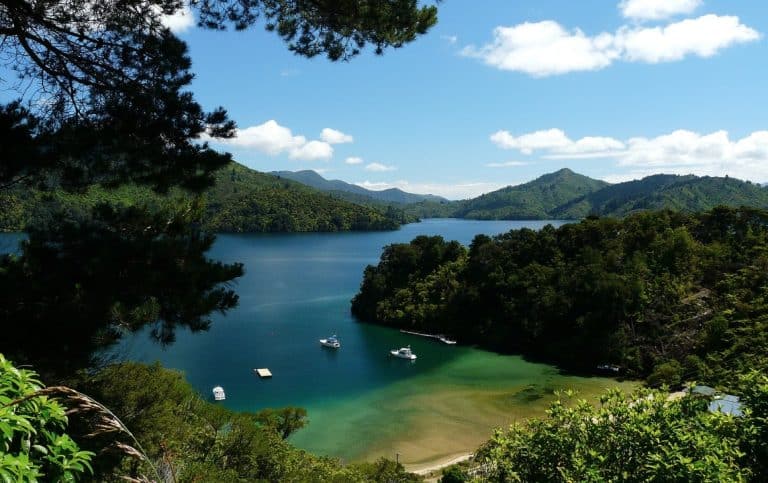 Queen Charlotte Drive 768x483