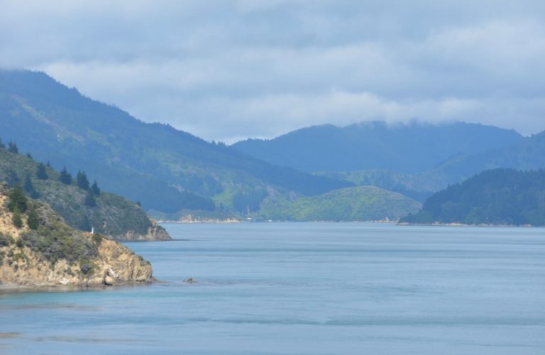 Queen Charlotte Drive3 768x500