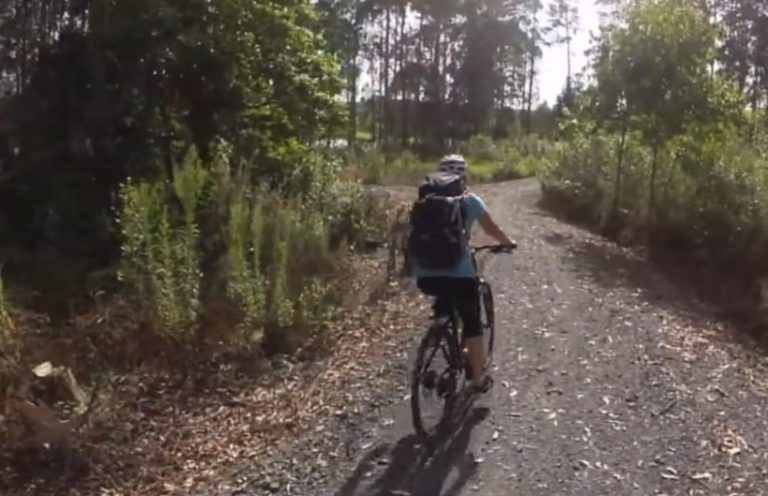 Screen Shot 2026 04 06 at 7.40.25 AM 1 768x496