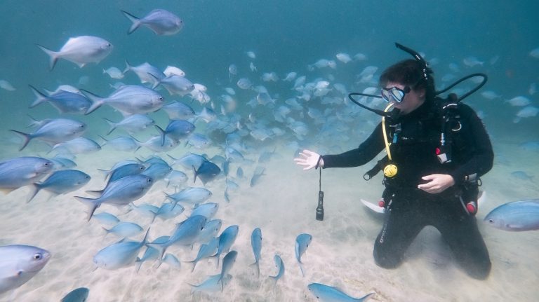 Screen Shot 2026 04 20 at 3.20.53 PM 768x431