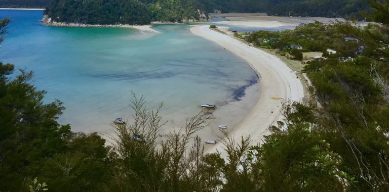Tawharanui Regional Park