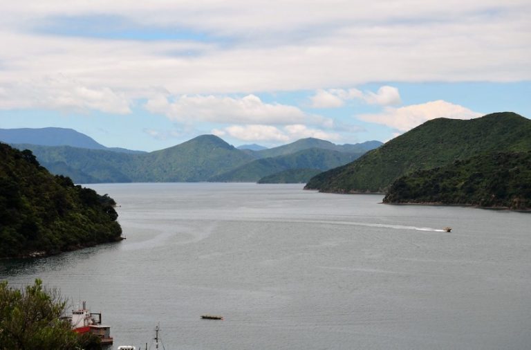 Screen Shot 2026 04 27 at 6.14.58 AM 768x506