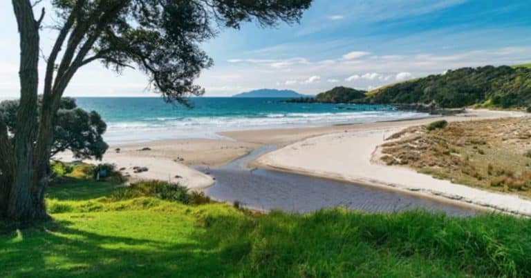 Tawharanui Regional Park