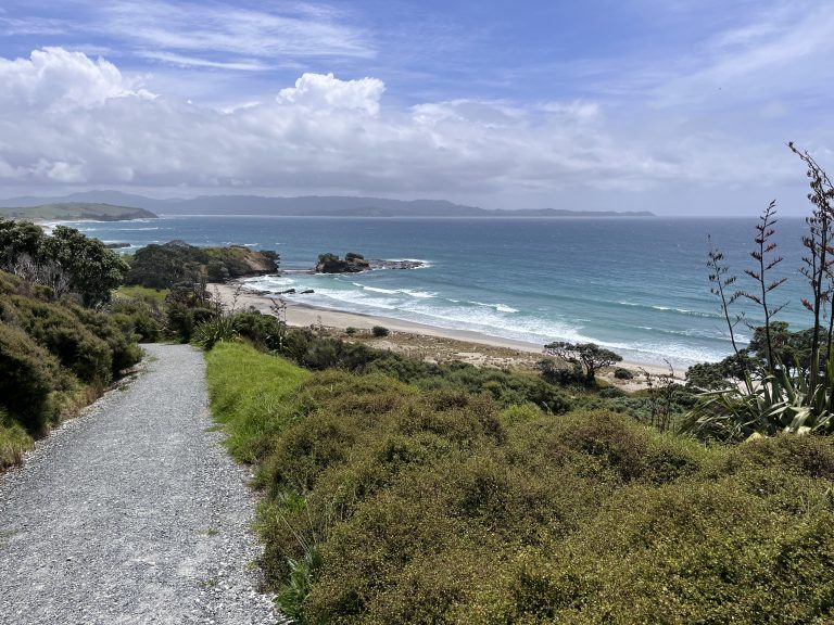 Tawharanui Regional Park