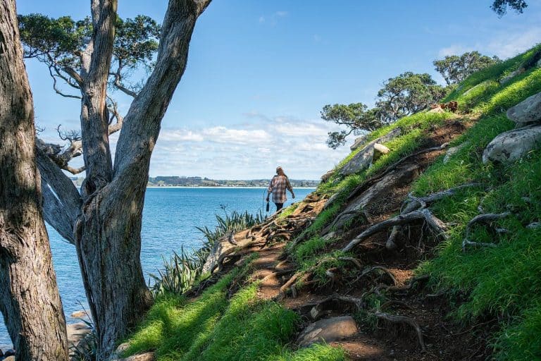 Ti Point Coastal Walk 768x512