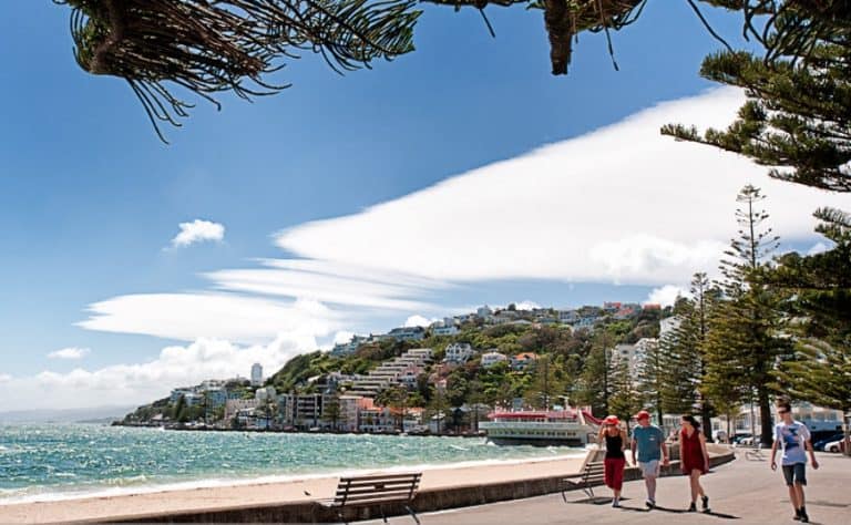 Freyburg Beach 768x474
