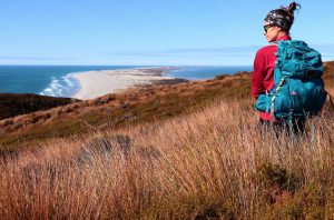 Hiker overlooking a scenic New Zealand coastal landscape with beach and ocean.