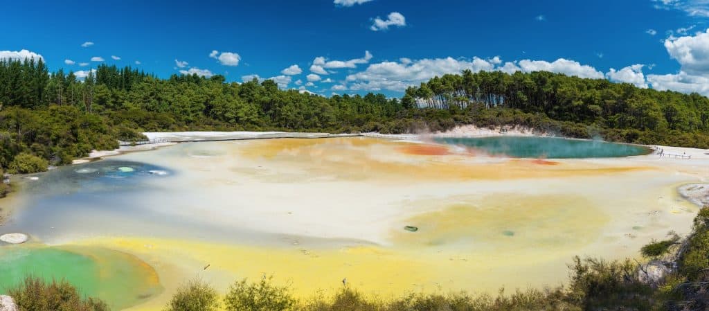 Vibrant geothermal pools with yellow sulphur crusts and rising steam at Wai-O-Tapu Thermal Wonderland near Rotorua.