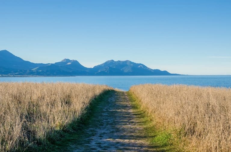 kaikoura coastal path 768x507