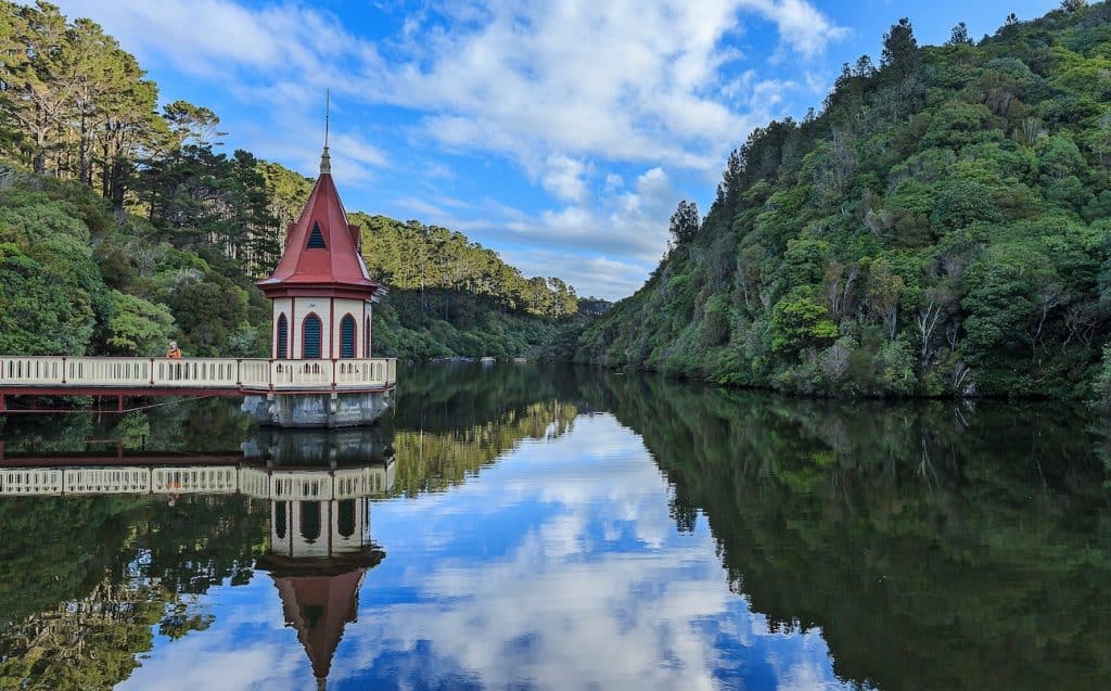 Rare native birds feeding in the lush green forest sanctuary at Zealandia Te Māra a Tāne in Wellington.