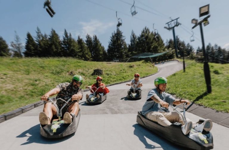 Luge Rotorua 768x505