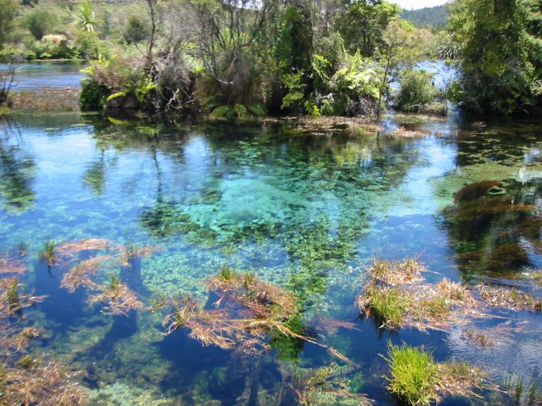 Pupu Springs 1088 768x576