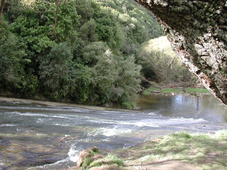 Rere rock slide 768x576