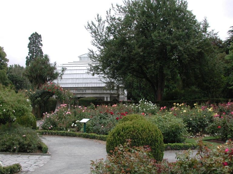 Central Rose Garden towards Cuningham House 768x576