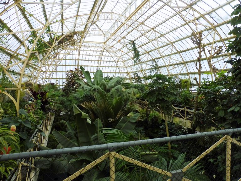 Christchurch Botanic Gardens Cuningham House conservatory interior 2016 768x576