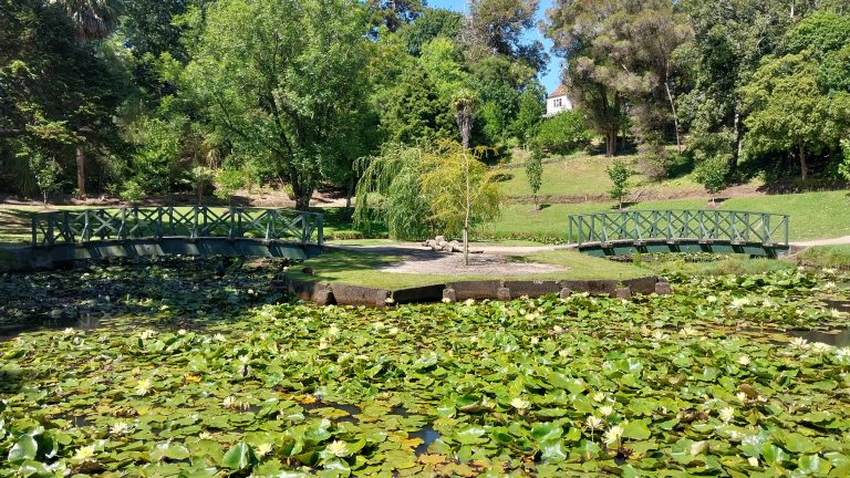 Rotokawau Virginia Lake Reserve twin bridges 768x432